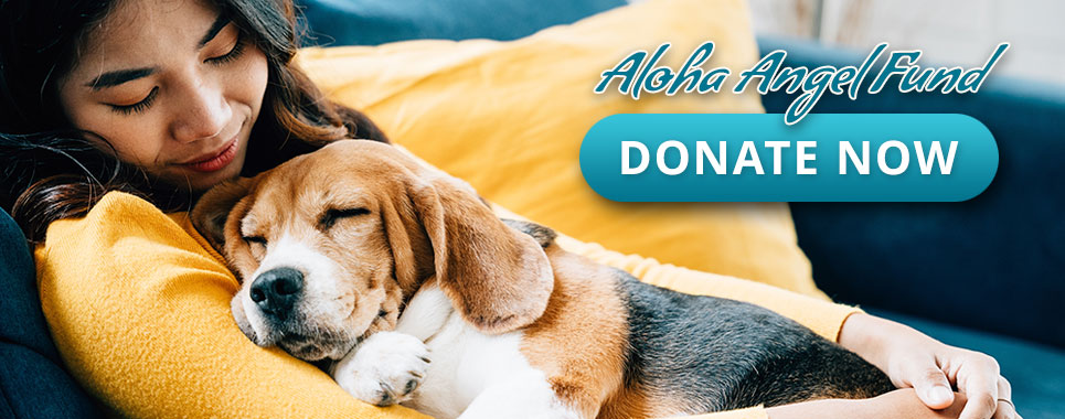 Donate to Aloha Angel Fund