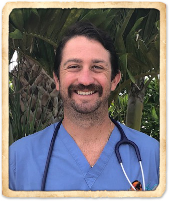 indian harbour beach veterinarians