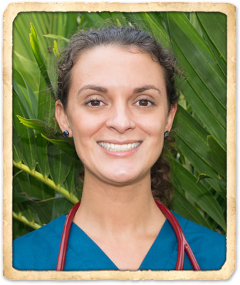 indian harbour beach veterinarians
