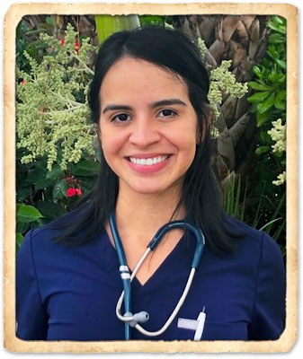 indian harbour beach veterinarians