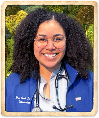 Aloha Staff