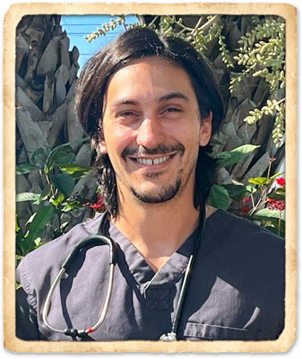 Aloha Staff